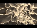 Marigold Nirvana Dave Grohl (Young AV Cover ...