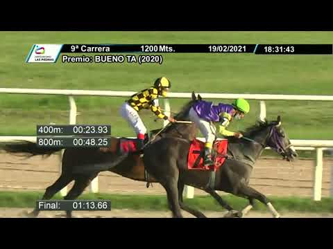 210219 c09 - ROYAL BLUE - HIPODROMO LAS PIEDRAS