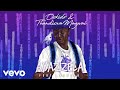 OSKIDO Thandiswa Mazwai Ayazizela Amapiano Club Edit Visualizer Ft Ntsika Ngxanga