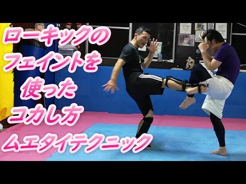 ローキックのフェイントからのコカシ ムエタイテクニック　#muaythai #kickboxing #ムエタイ #ローキック