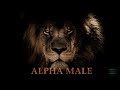 ALPHA MALE Subliminal Subconscious Programming Mindset Pheromones