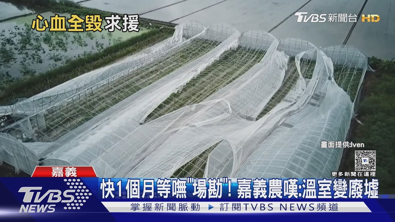 颱風後又遇大雨! 等嘸「場勘」難補助 農民嘆溫室變廢墟