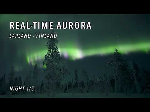 Real-Time Aurora Borealis Racing Above Snowy Trees in Äkäslompolo, Finnish Lapland – Night 1/5 [4K]