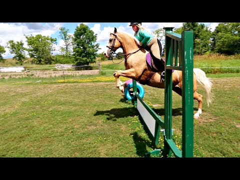 Something Has Happened To Sophia!