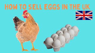 How to sell eggs UK              #smallholding  #poultryfarming