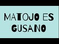 Matojo Es Gusano