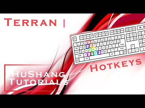 Terran Hotkeys | Life changing tips to setup your keyboard and mouse