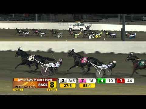 Meadowlands February 6, 2016 - Race 8 - Ashley's Husband