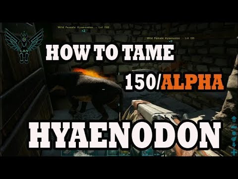 Ark: Alpha Hyaenodon taming made easy