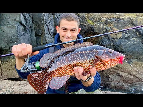 How to Find the best fishing Spot - How to lure fish from the shore!!