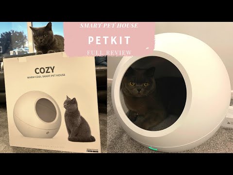PETKIT COZY SMART HOUSE REVIEW | MEET OUR NEW BRITISH SHORTHAIR CAT!