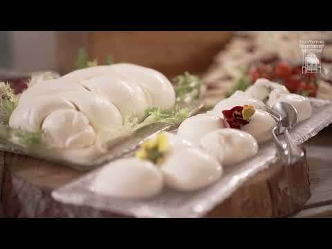 Villa Ventura | Spot