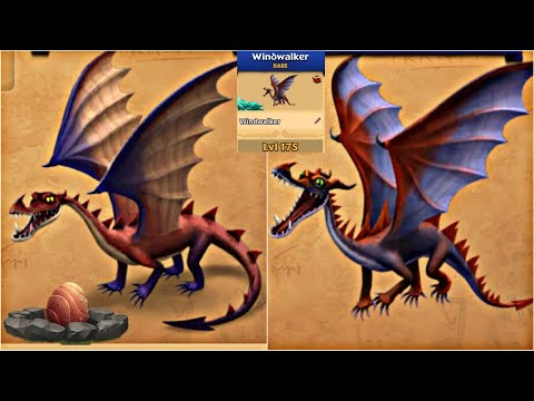 WINDWALKER MAX LEVEL 175 TITAN MODE - Dragons: Rise of Berk