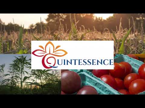 Cannabis Information Booth @ Lehi Farmer's Market 2020· Hosted by Quintessence Health and Wellness
