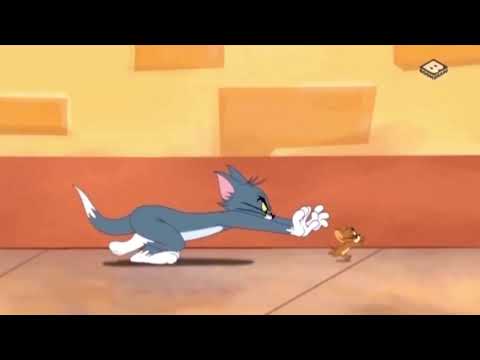 Tom and Jerry evolution 80 years of chasing