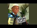 Pombinha Branca