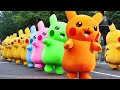 Goyang Pokemon Lagu Pokemon Dimana Kamu Lagu Pokemon Lucu