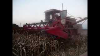 preview picture of video 'Hermosa Vassalli 900 1979 restaurada trillando sorgo - harvesting sorghum'