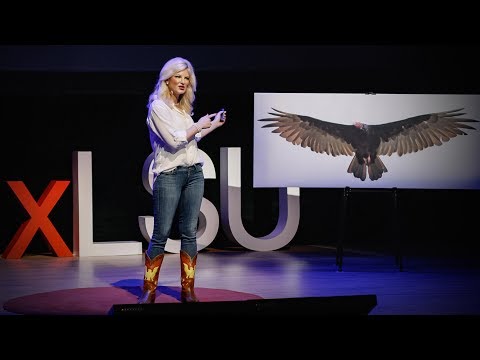 How Vultures Can Help Solve Crime