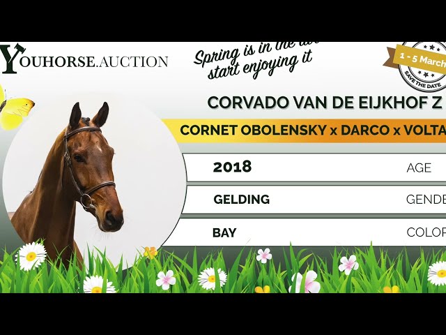 Corvado van de Eijkhof Z showvideo