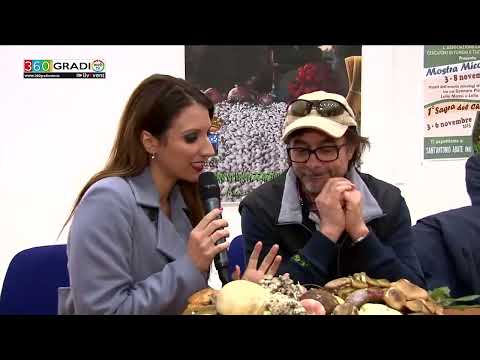 S. ANTONIO ABATE: DIVIN CASTAGNE...DAL  BOSCO ALLA TAVOLA