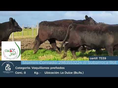 Lote VQ GENERAL - CGP