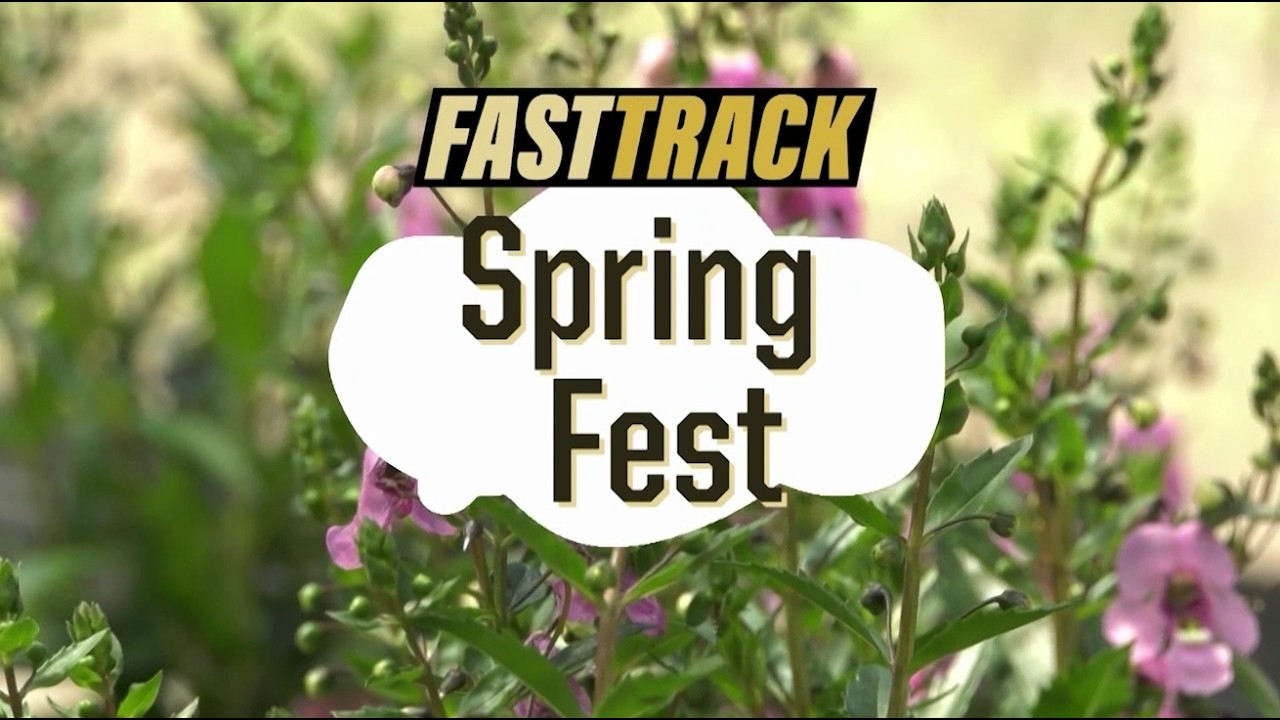 Fast Track News at Spring Fest 2026