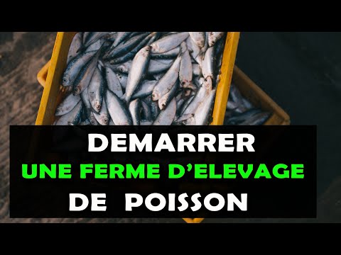 , title : 'Voici 7 Etapes pour commencer une entreprise d'élevage de poisson à succès en Afrique [Pisciculture]'