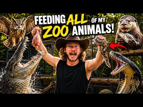 Feeding My CRAZIEST ANIMALS! 