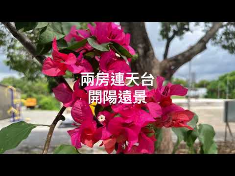 Village Youtube Video