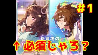 【ウマ娘】新育成シナリオ記念サポートガチャをライトハロー狙いで引いていきますその１#45