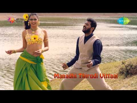 Manadhai Thirudivittai | Manja Kaattu Maina song