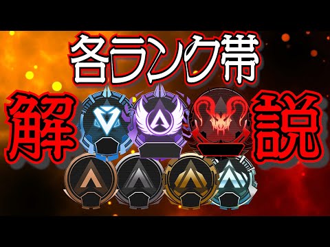 ランクについて詳しく解説