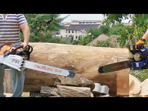 Stihl MS 881 and FarmerTec G888 - battle in big hard wood !!!