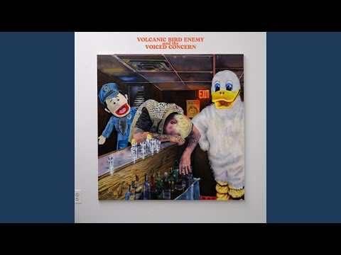 Video thumbnail for BIRD ENEMY CAR