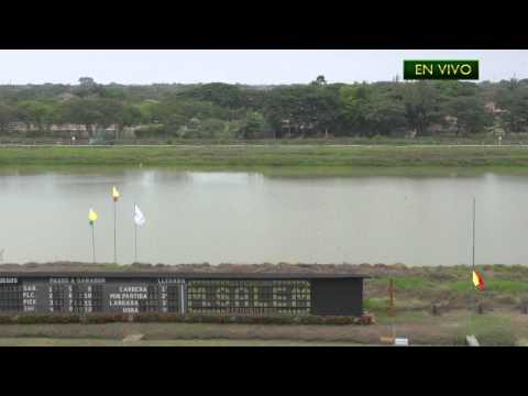 Carreras en Vivo - Domingo 17 de Enero, 2016