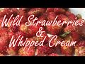 🍓Wild Strawberries & Whipped Cream🍓