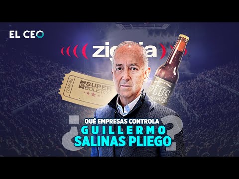 What companies does Guillermo Salinas Pliego control?