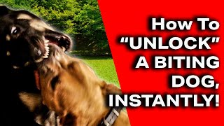 How To Stop A Dog Fight Instantly- "Unlock" a biting dog in SECONDS!!!(The B**ty Jam Technique)