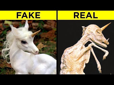 When PROOF Shows These Legendary Creatures Actually Exist