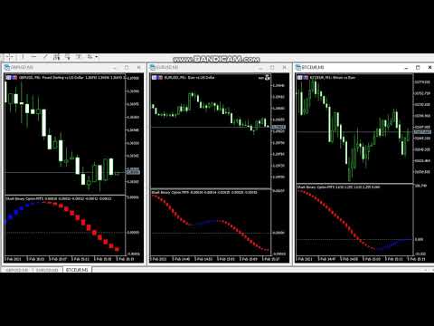 Video Shark Binary Option MT5