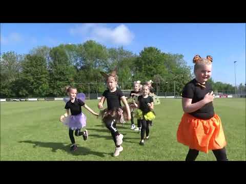 Dansplezier Nieuwveen - Dierenfreak