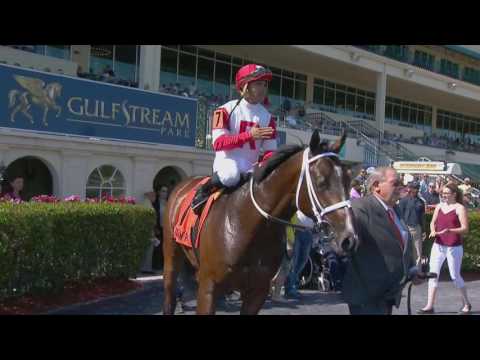 Kitten's Cat Primed for 2017 Palm Beach Stakes