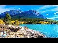 3 HOURS of Amazing Nature Scenery & Relaxing Music for Stress Relief. EP2
