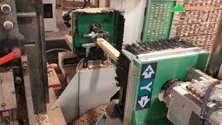 Máy đánh mộng dương CNC 2 đầu Woodmaster WM D200A