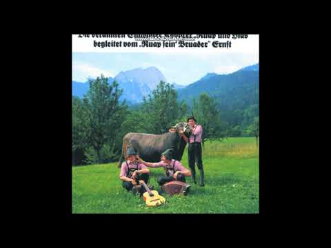 Rupert Zwanzleitner, Hias, Ernst Zwanzleitner - Auf der Leit' nalm - Walzer