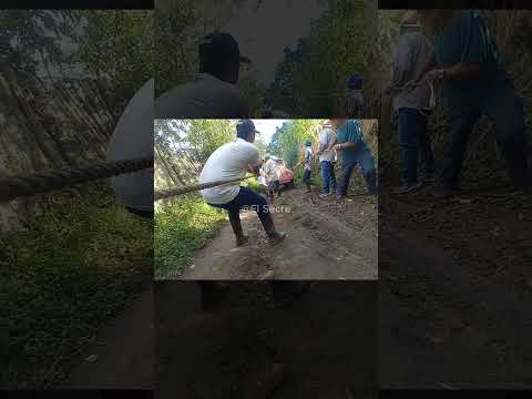 ¿En cuántos lugares el campo jamás abandona a los suyos?