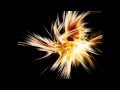 Rezonate -- The Phoenix 