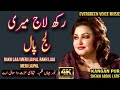 Noor Jahan Song Rakh Laaj Meri Lajpal Qalandri Dhamal Punjabi Song Remix Song Jhankar Song