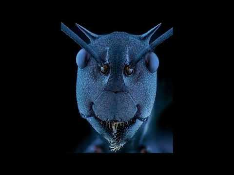 DJ Nikadeemas - Wave Of Doomerism